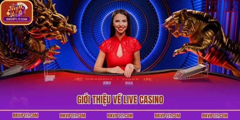 Giới thiệu về live Casino