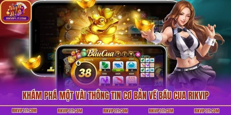 Khám phá một vài thông tin cơ bản về bầu cua Rikvip