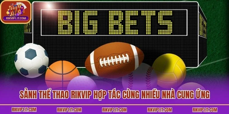 Sảnh thể thao Rikvip hợp tác cùng nhiều nhà cung ứng
