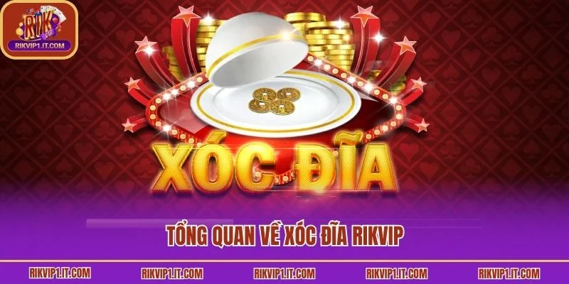 Tổng quan về xóc đĩa Rikvip