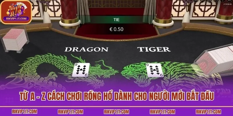 Từ A - Z cách chơi Rồng Hổ dành cho người mới bắt đầu